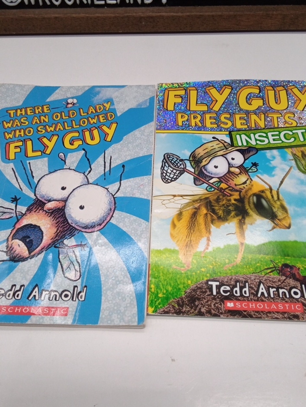 Fly Guy Level Reader Bundle Book#10 - Picture 3 of 7